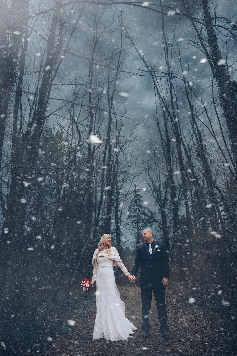 carousel-hero-element image-2